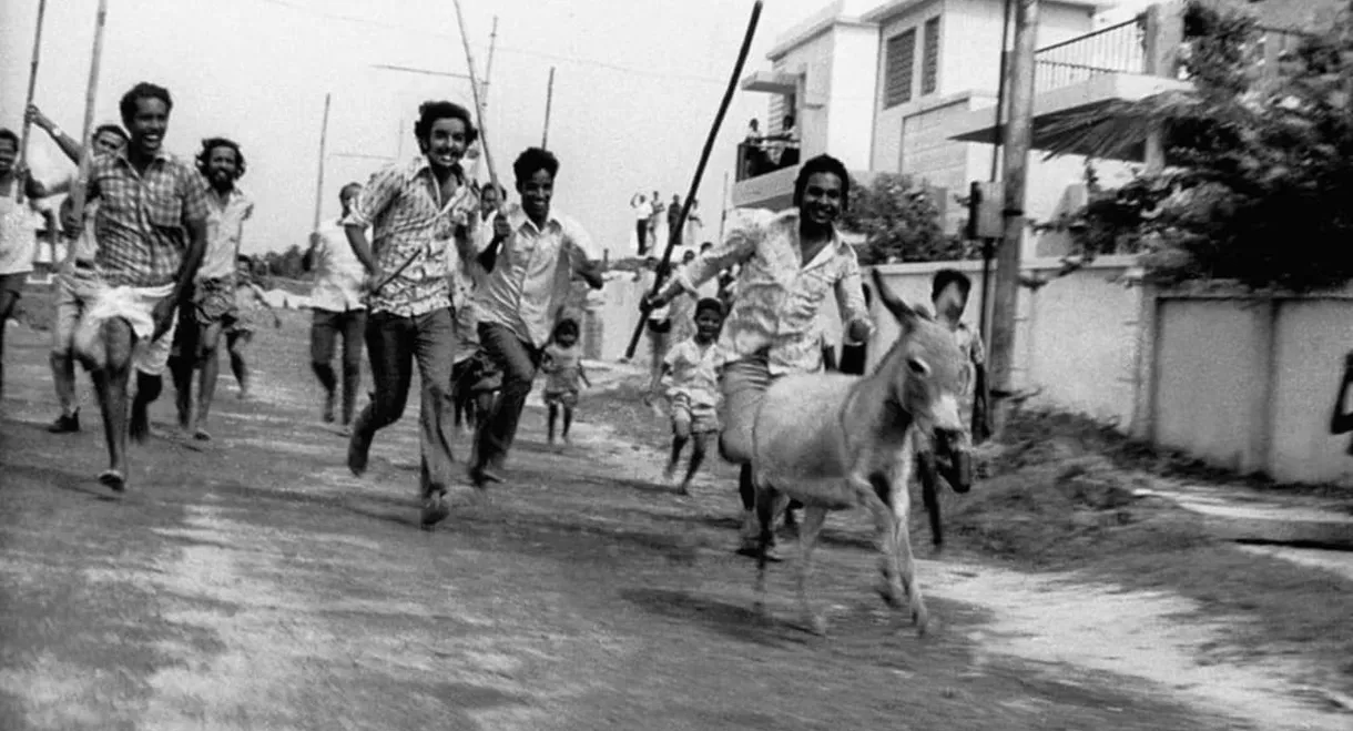 Donkey in a Brahmin Village