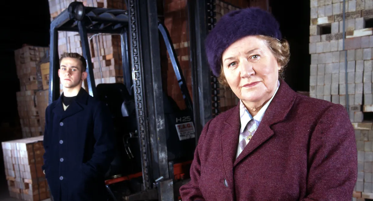 Hetty Wainthropp Investigates