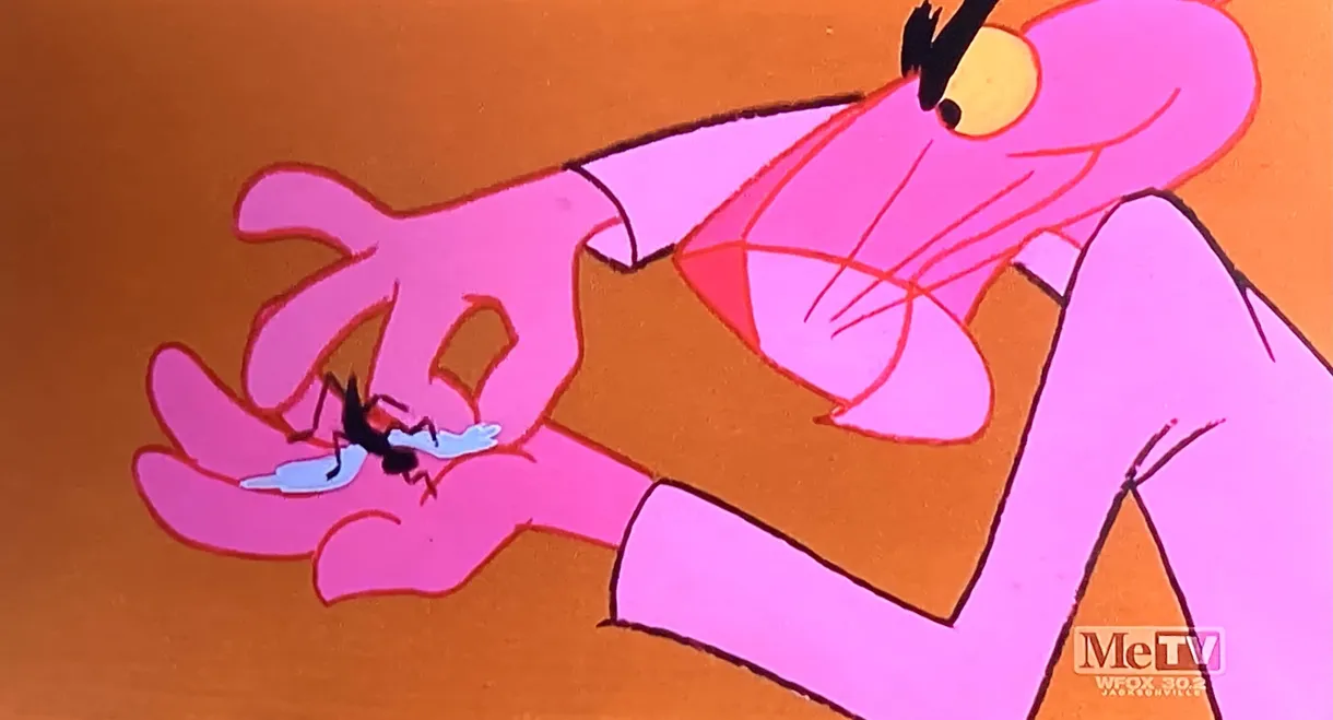 A Fly in the Pink
