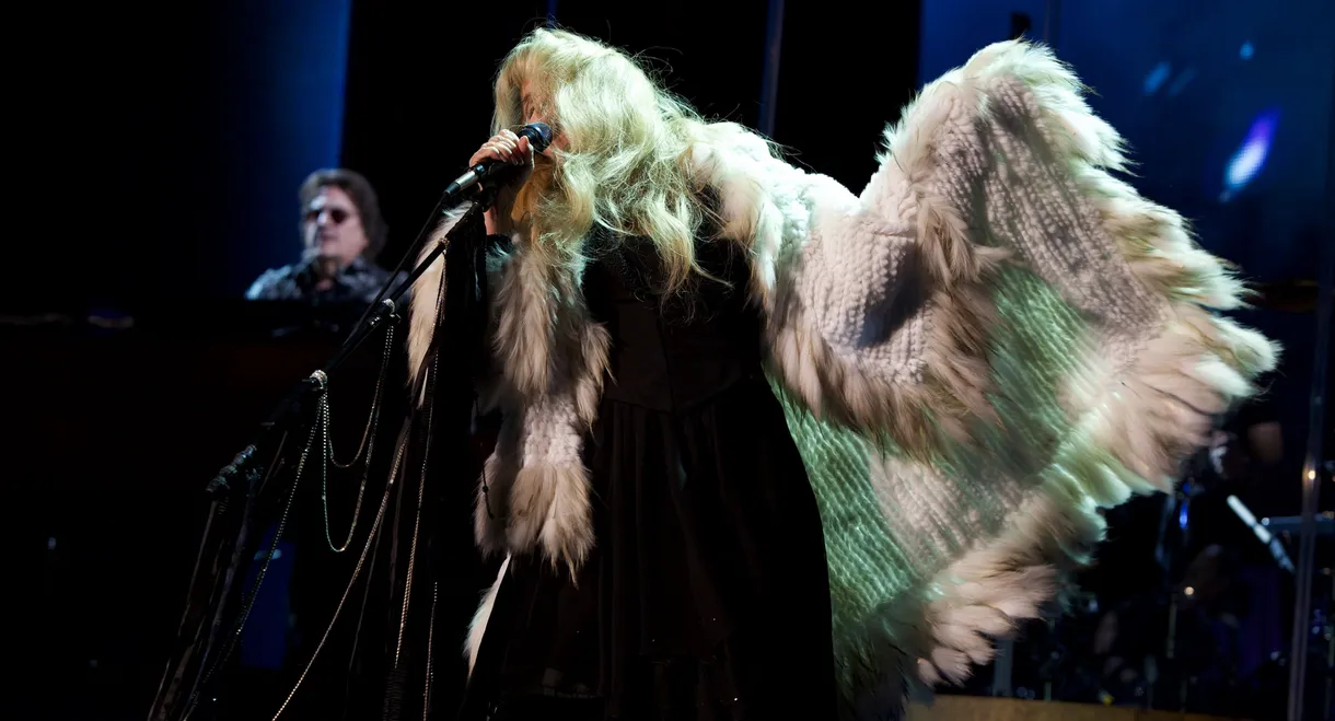 Stevie Nicks: Live in Concert - The 24 Karat Gold Tour