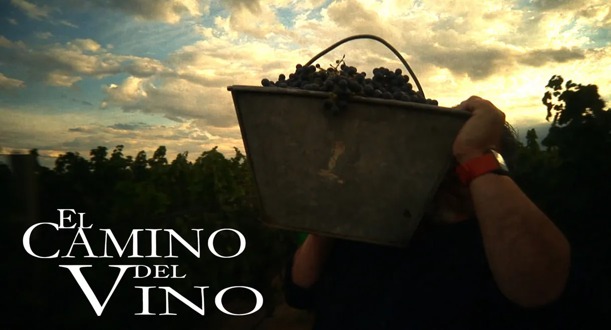 El camino del vino