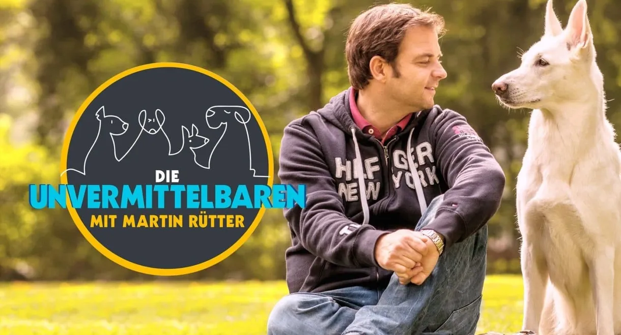 Die Unvermittelbaren – mit Martin Rütter