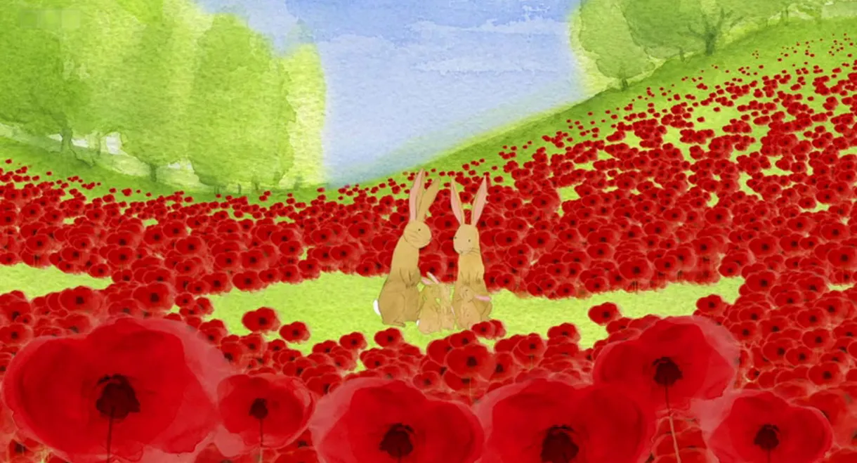 Poppies