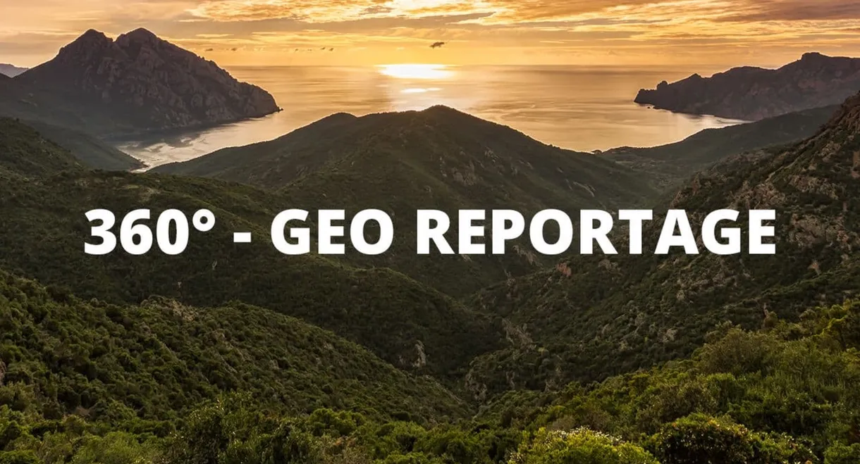 360° - Die GEO Reportage