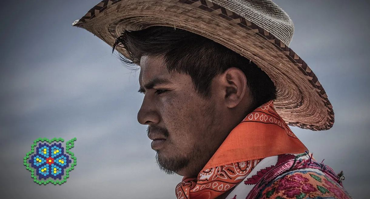 Huicholes: The Last Peyote Guardians