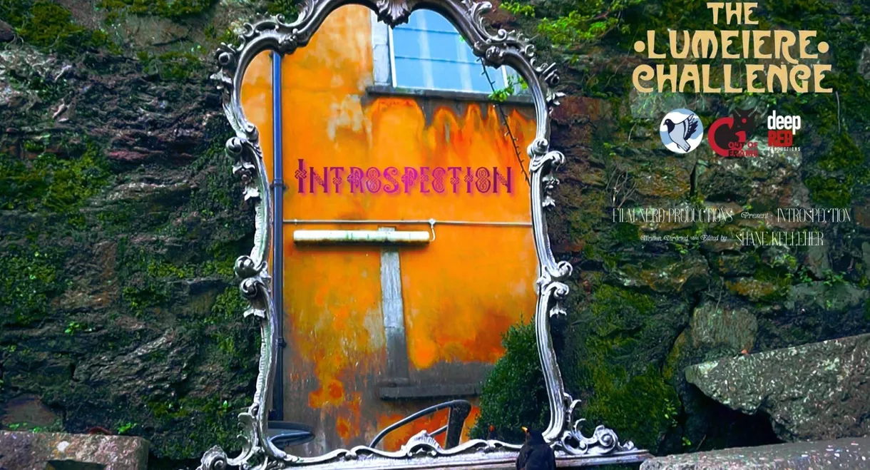 Introspection