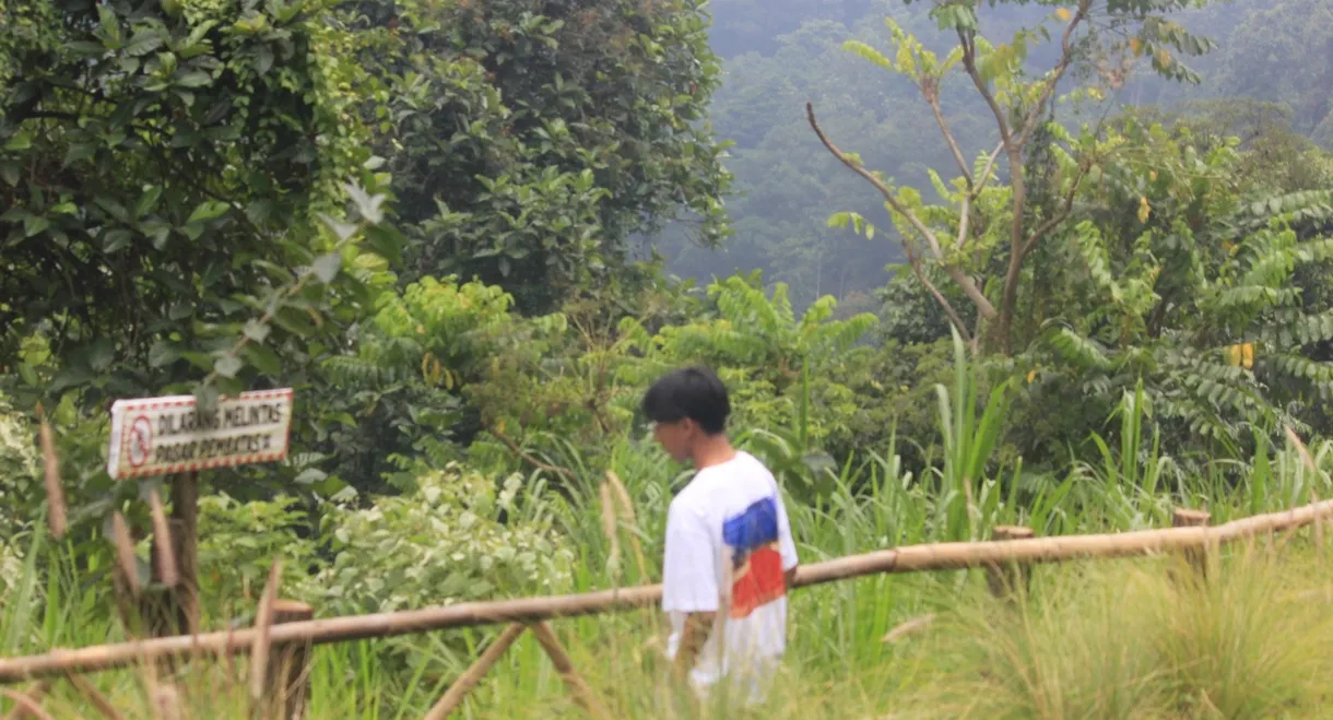 Around Java