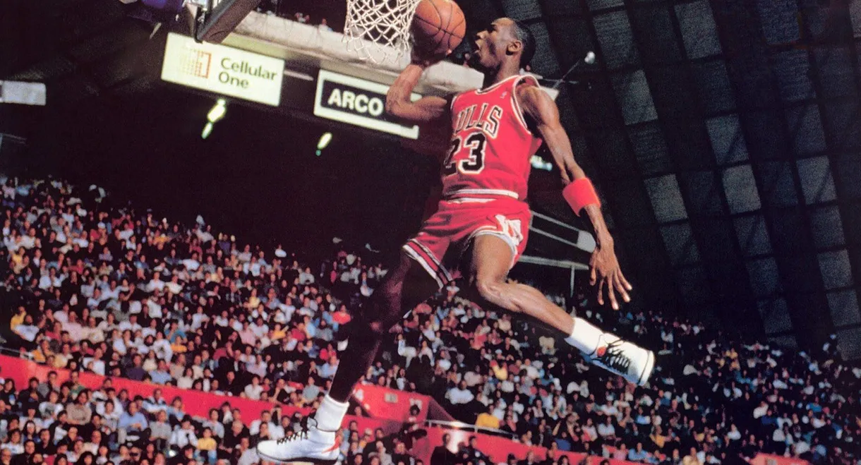 Michael Jordan: Come Fly with Me