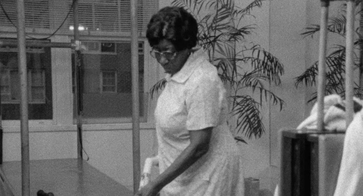 Fannie's Film