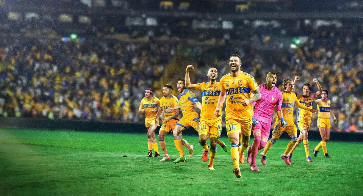 Tigres: La historia perfecta