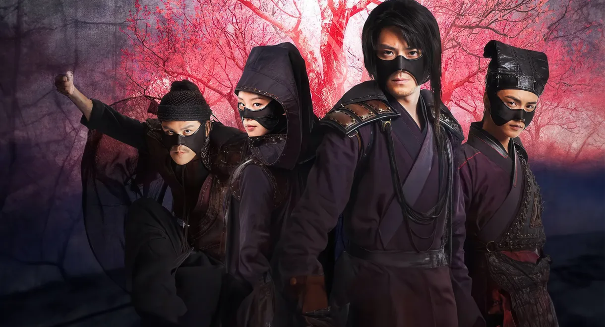 The Vigilantes in Masks