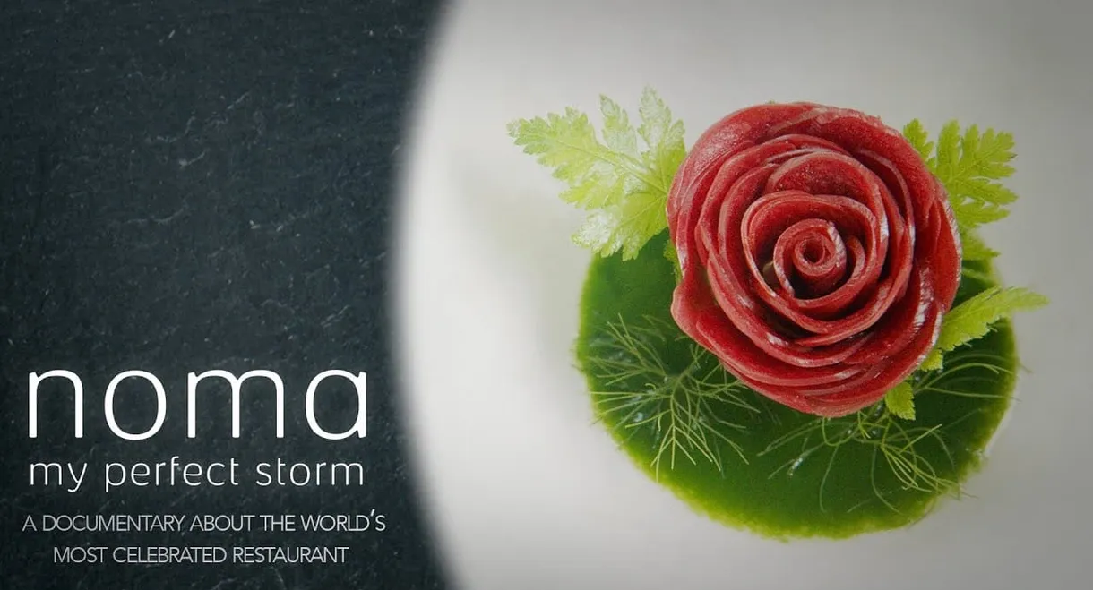 Noma: My Perfect Storm