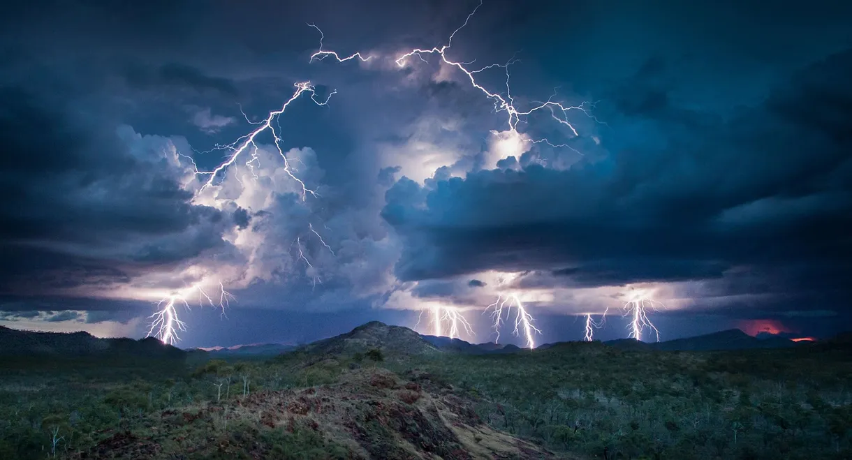 Wonders of the Monsoon