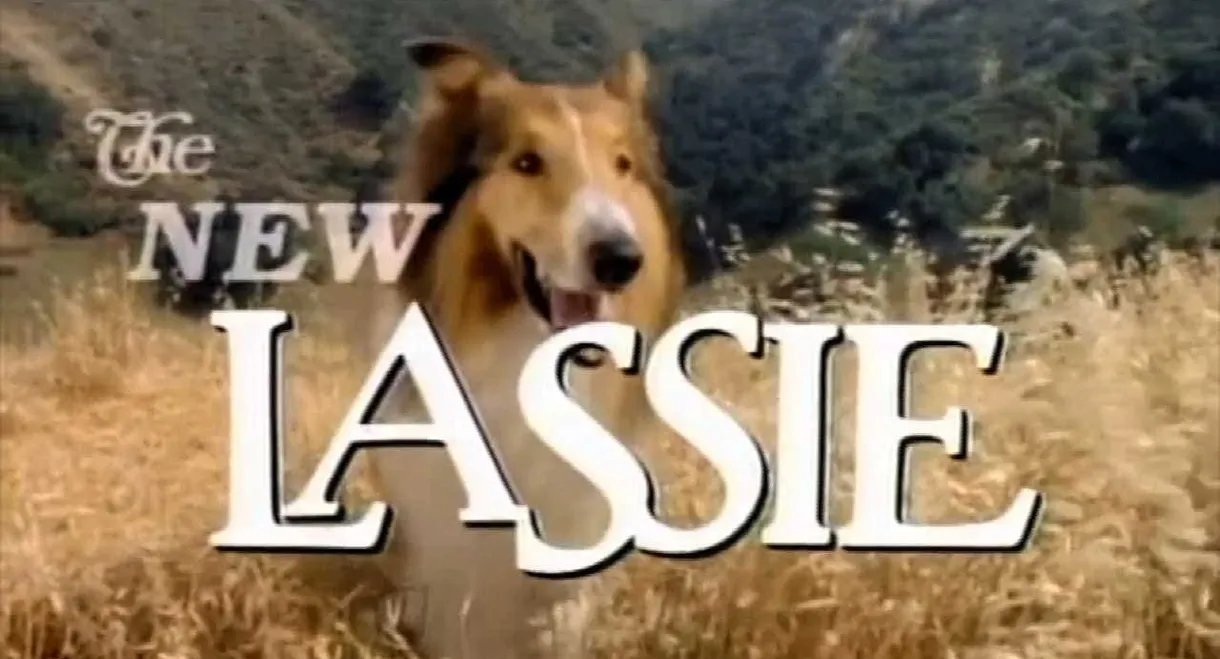 The New Lassie