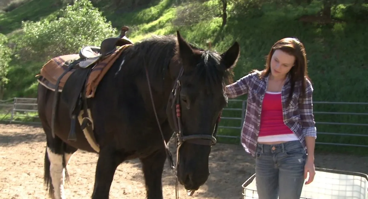 A Talking Pony!?!