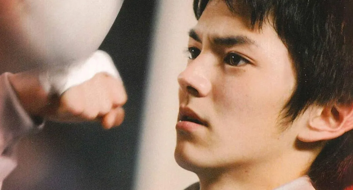 Love Fight
