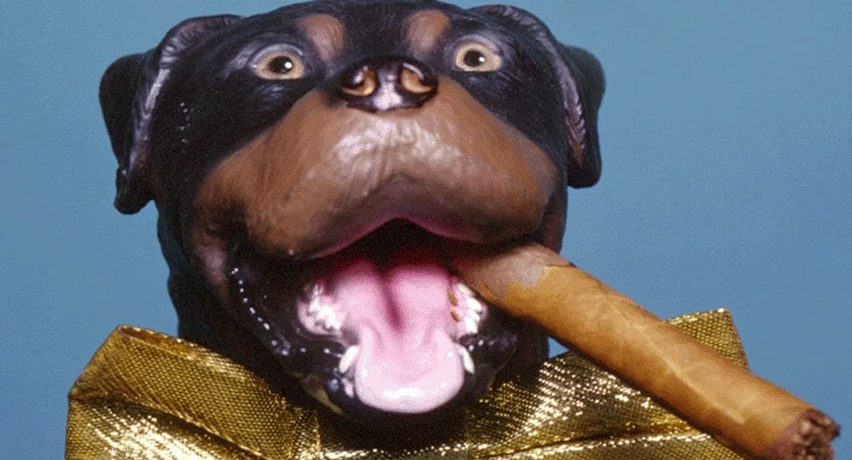 Late Night with Conan O'Brien: The Best of Triumph the Insult Comic Dog