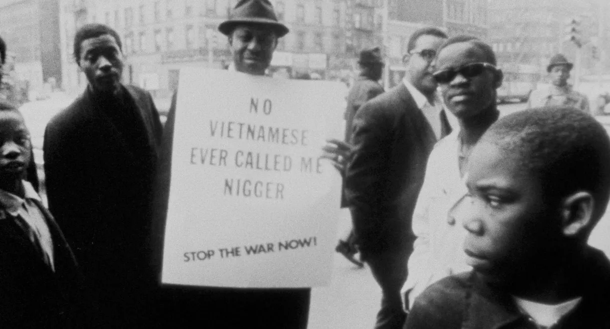 No Vietnamese Ever Called Me Nigger