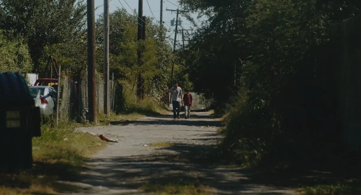 The Red Bike