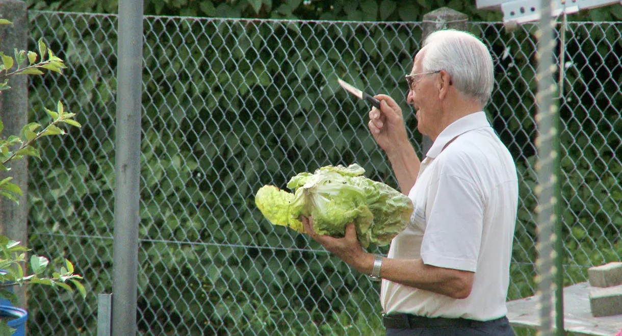 Father's Garden: The Love of My Parents