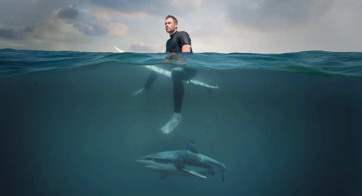 Shark Beach With Chris Hemsworth