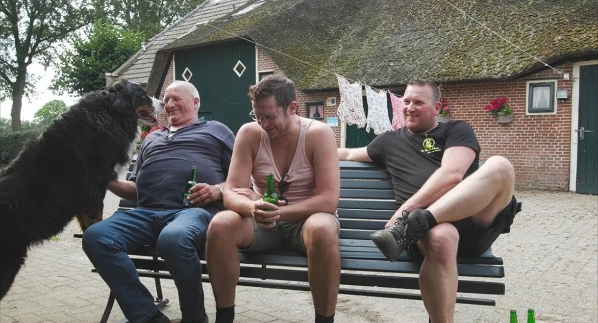 Tik van de meule