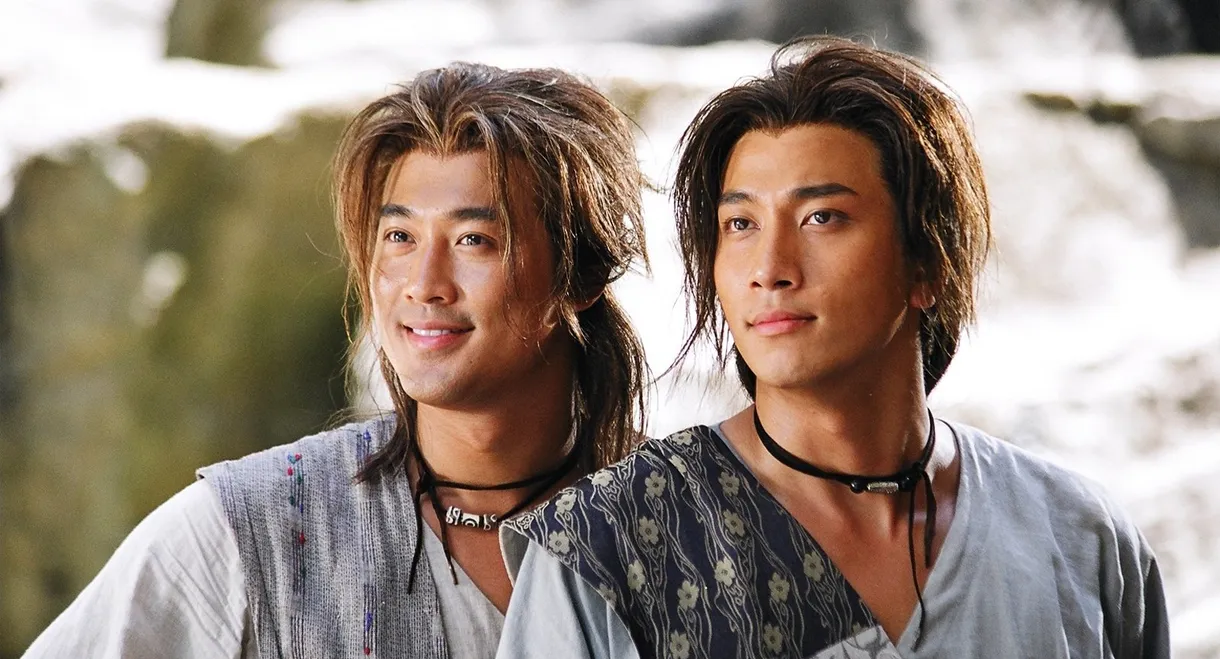 Twin of Brothers
