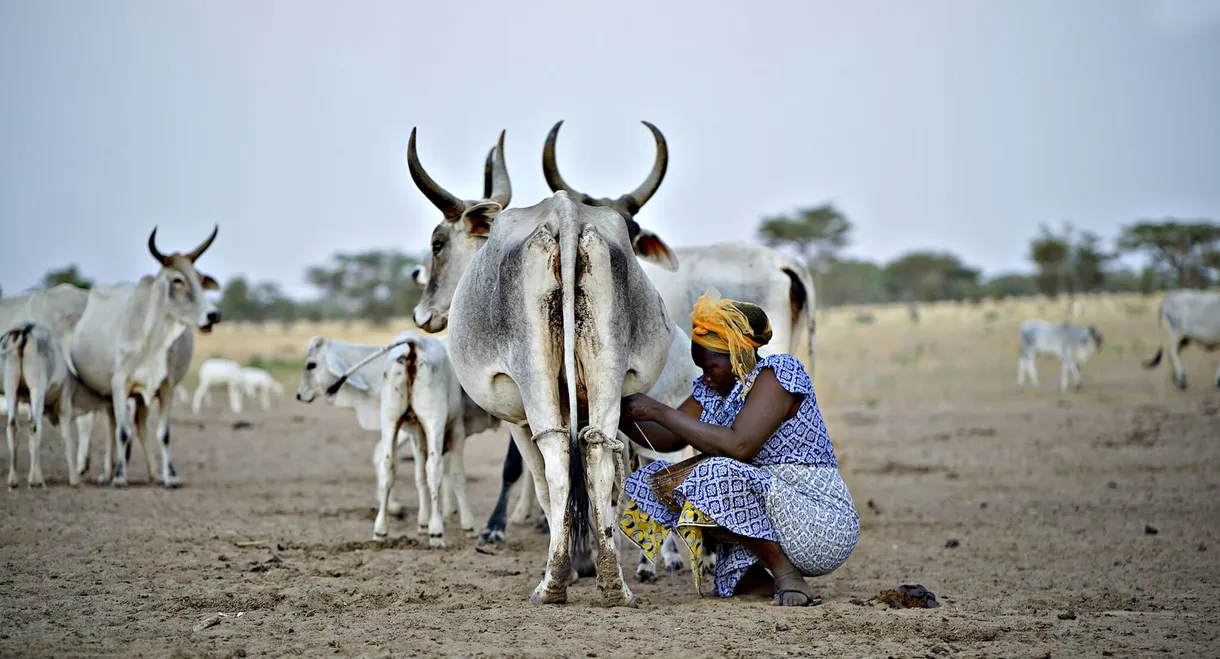 The Milk System