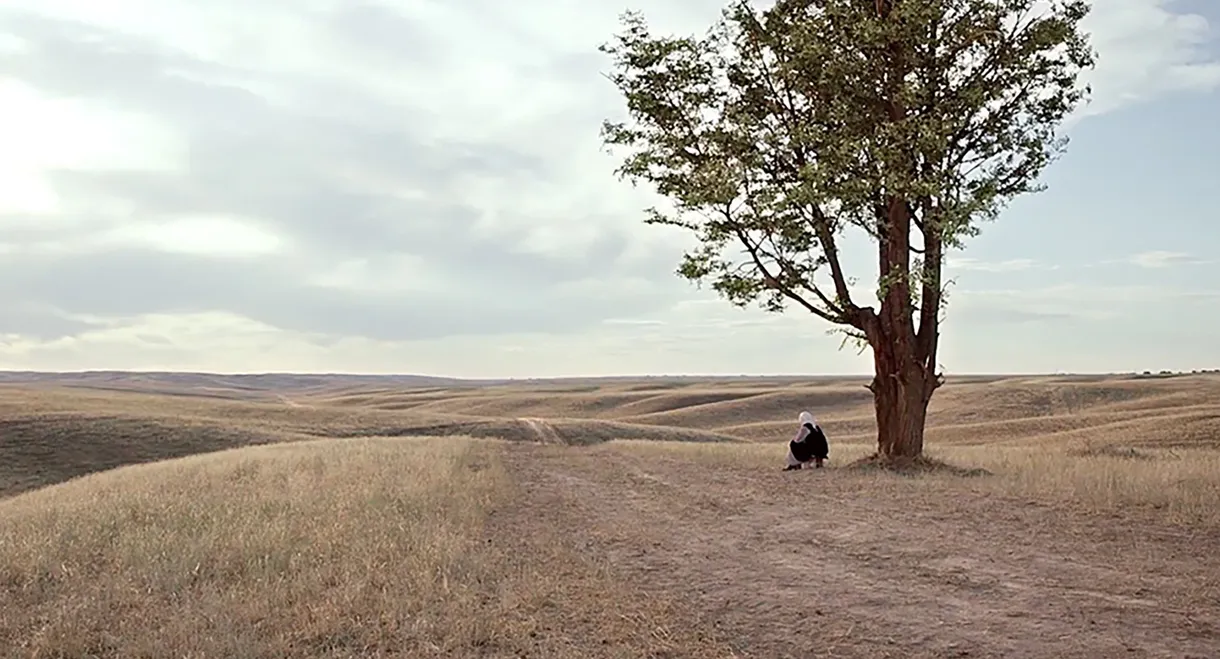The Road to Mother