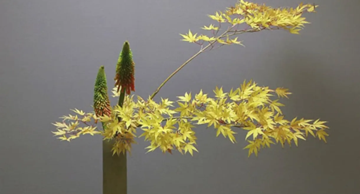 Ikebana