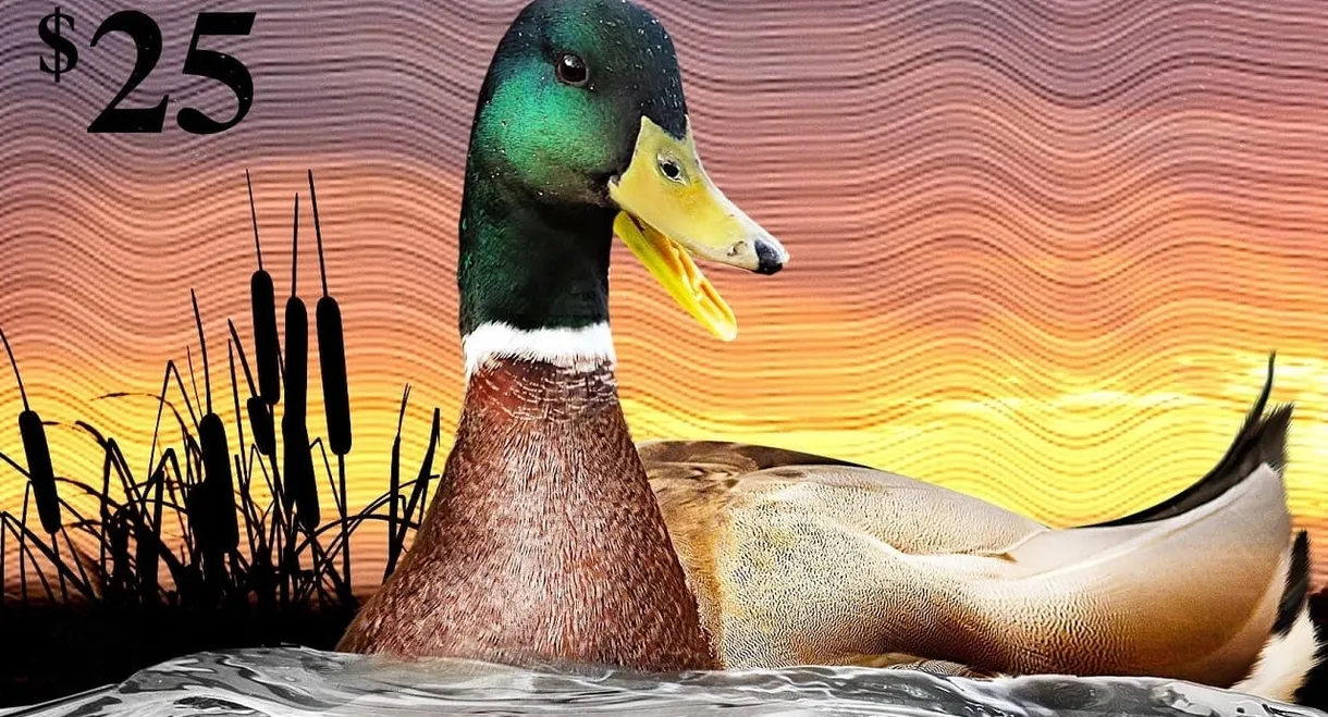 The Million Dollar Duck