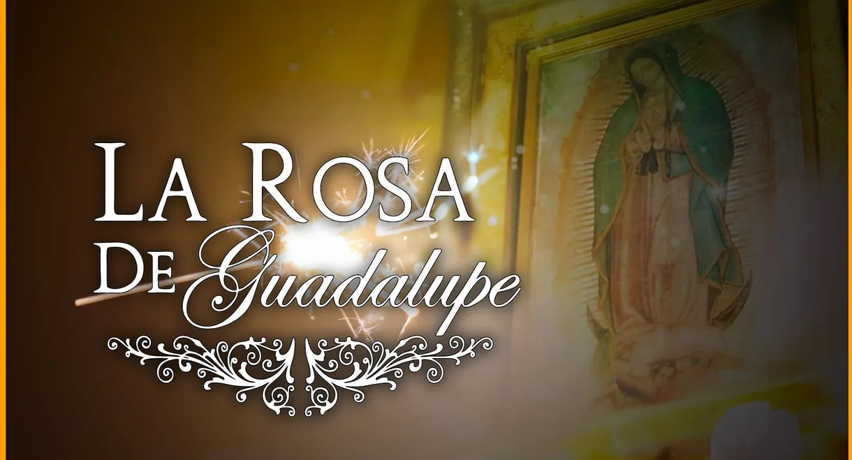 La rosa de Guadalupe