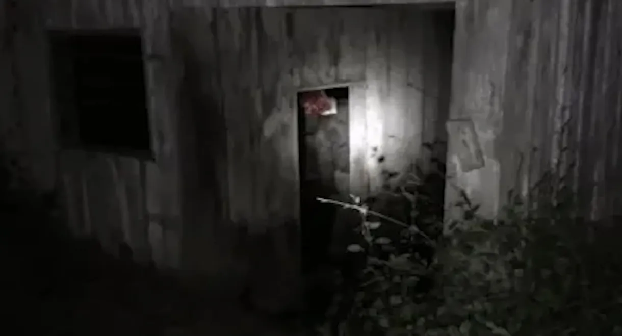 The Fear Footage 3AM