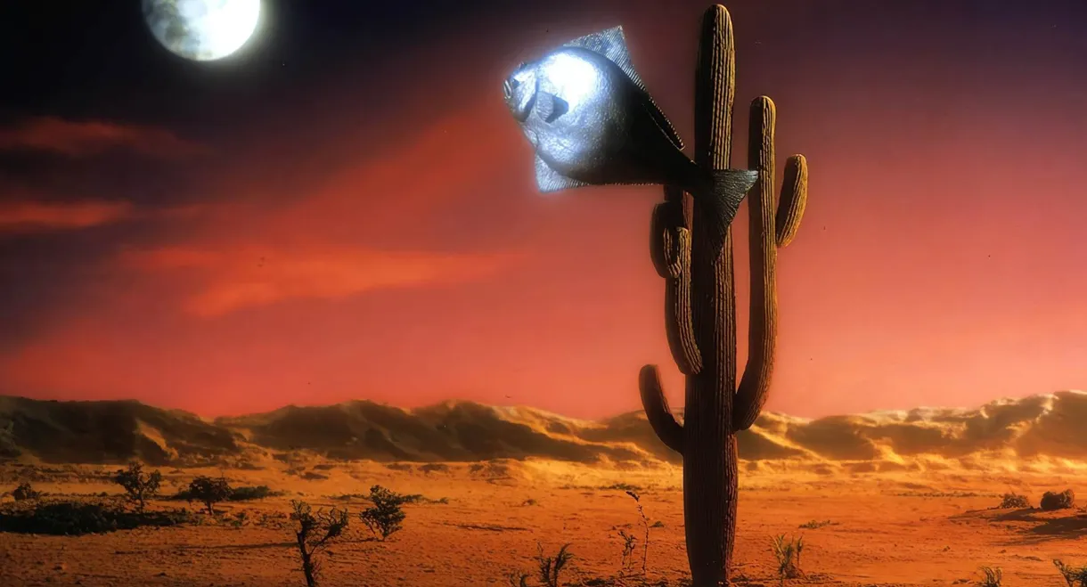 Arizona Dream