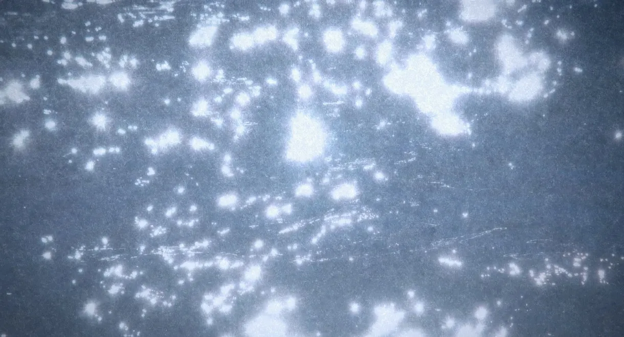 Microcosmos