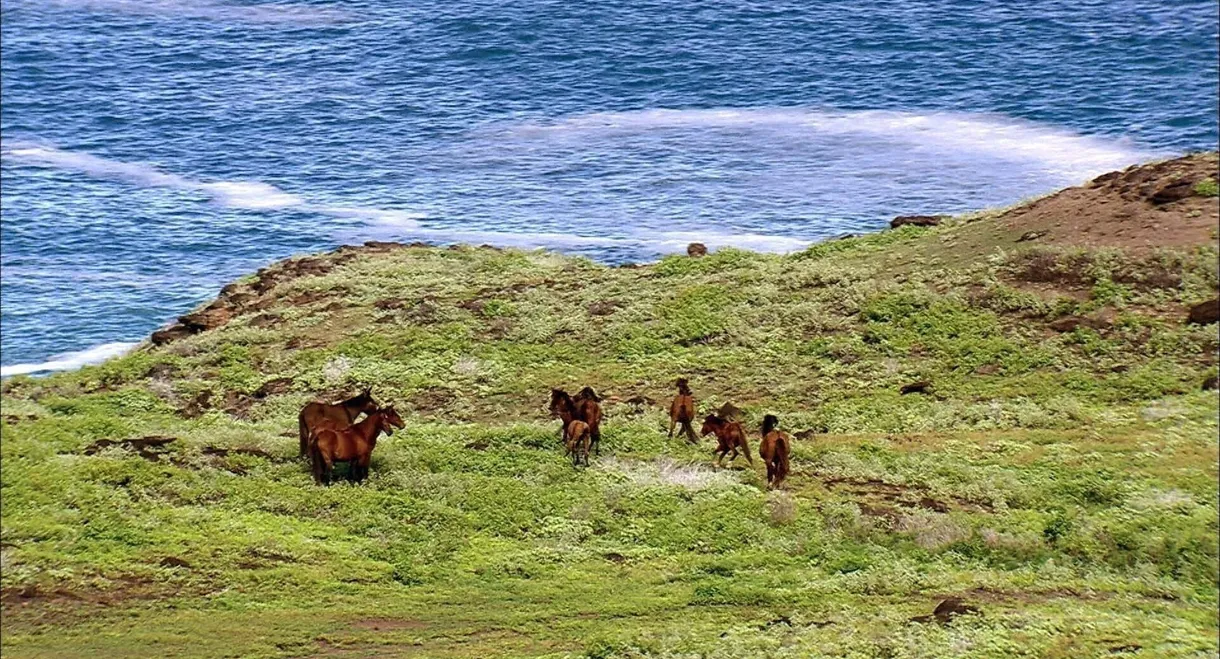 Les Marquises, aux sources de la Polynésie