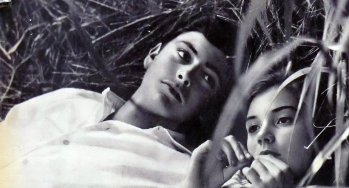 Latin Lovers