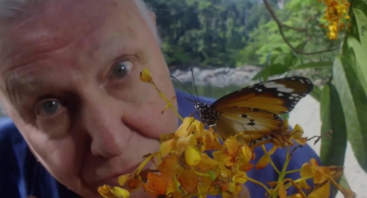 David Attenborough's Conquest of the Skies