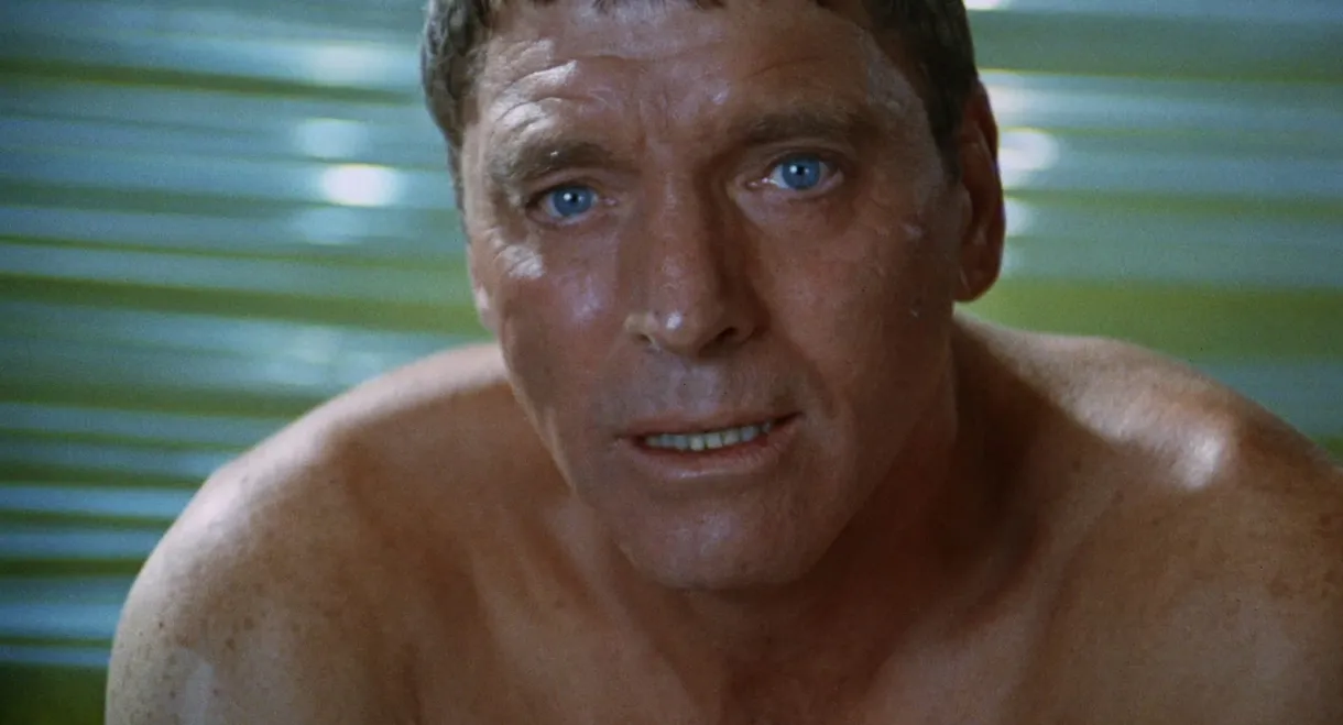 The Swimmer