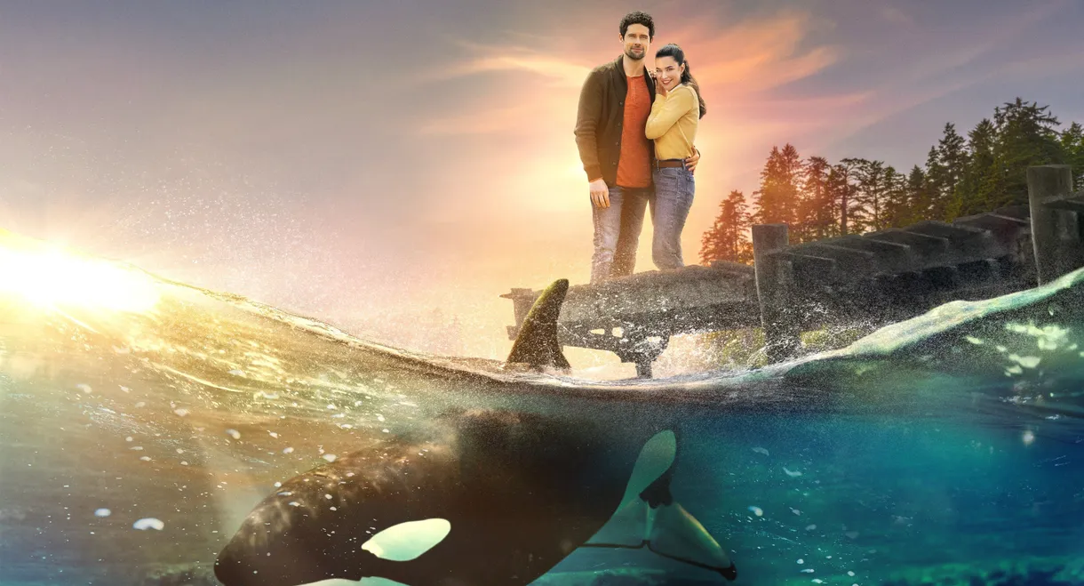 A Splash of Love