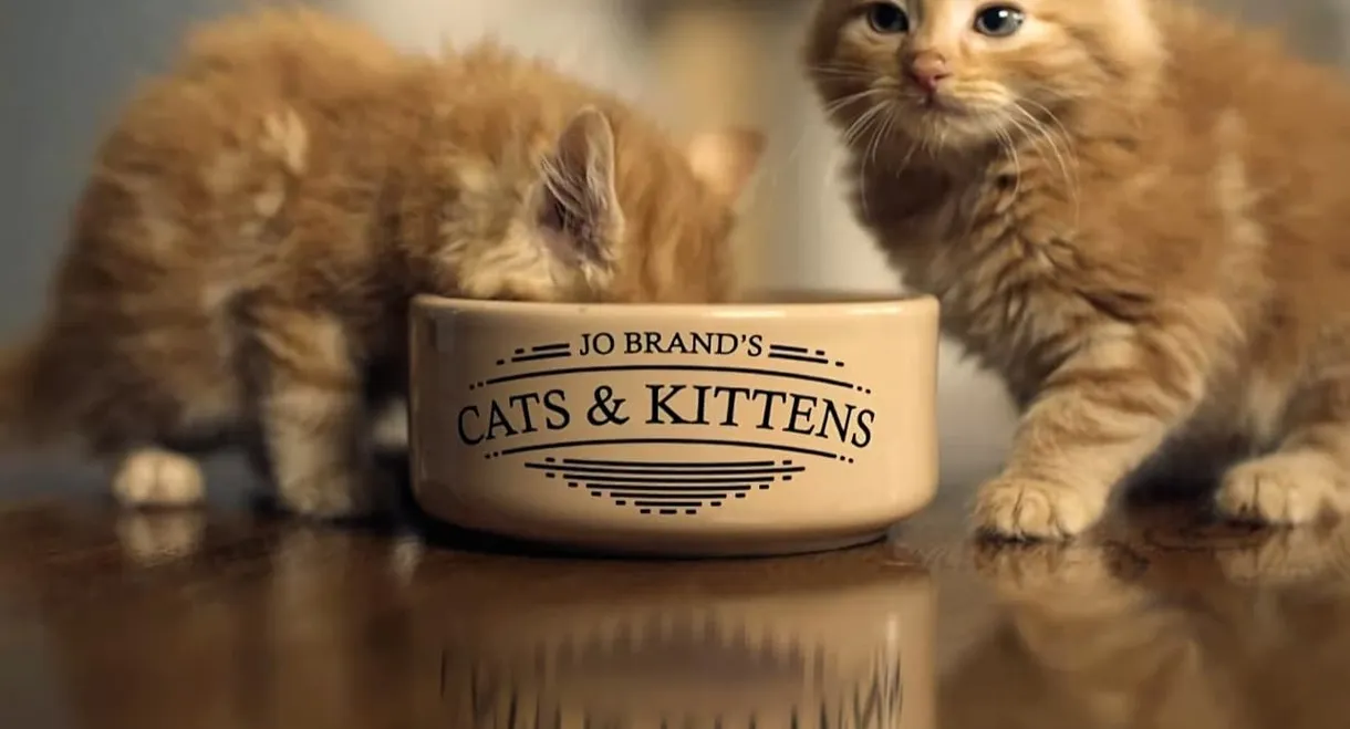 Jo Brand's Cats & Kittens