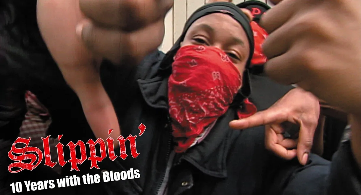 Slippin': Ten Years with the Bloods