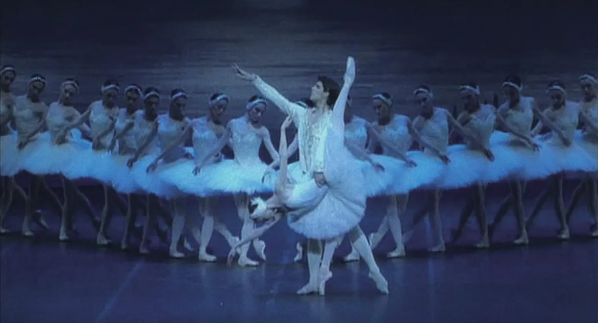 Tchaikovsky: Swan Lake