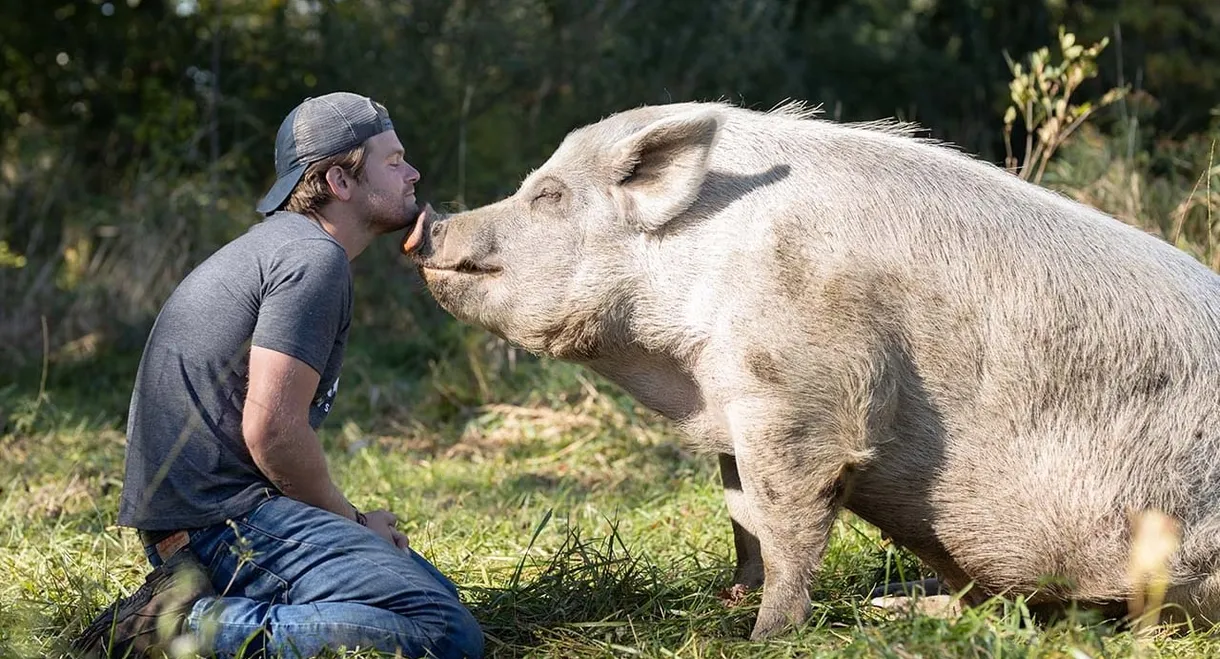 Saved By The Barn