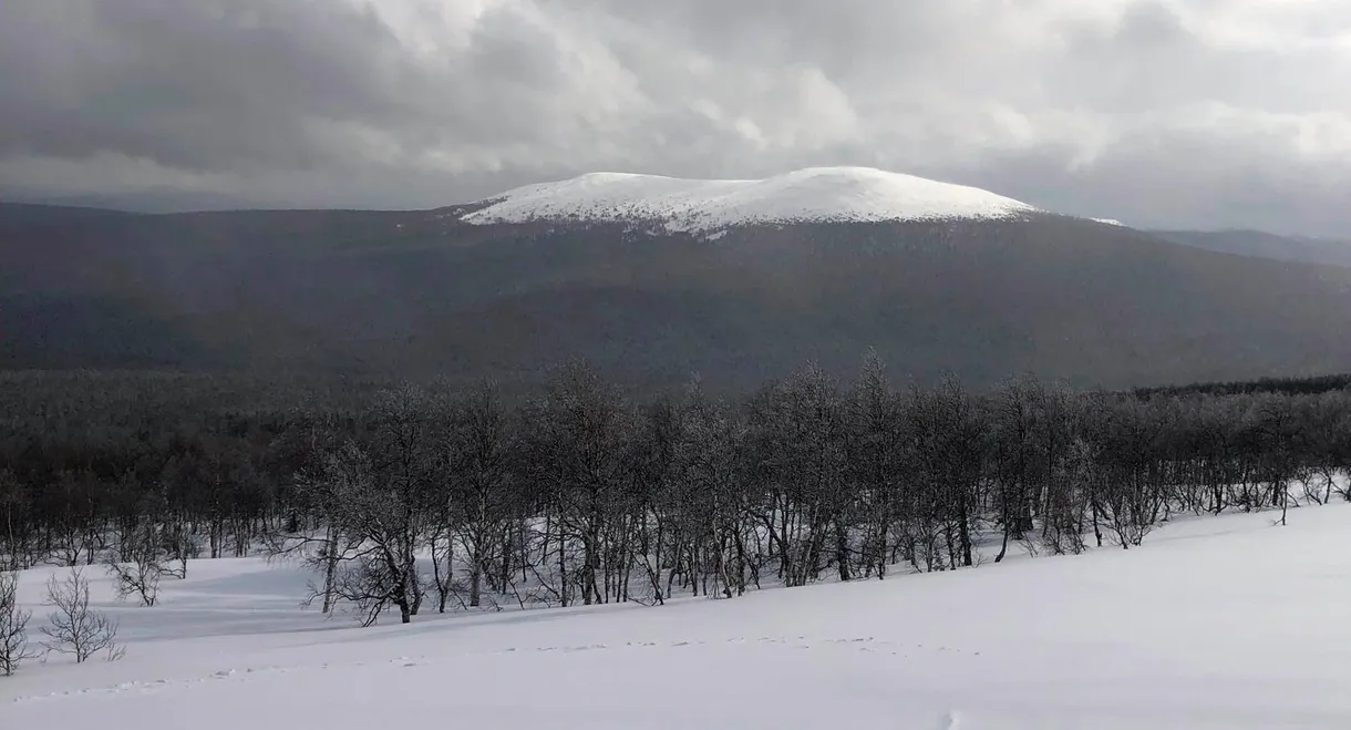 The Dyatlov Pass Incident