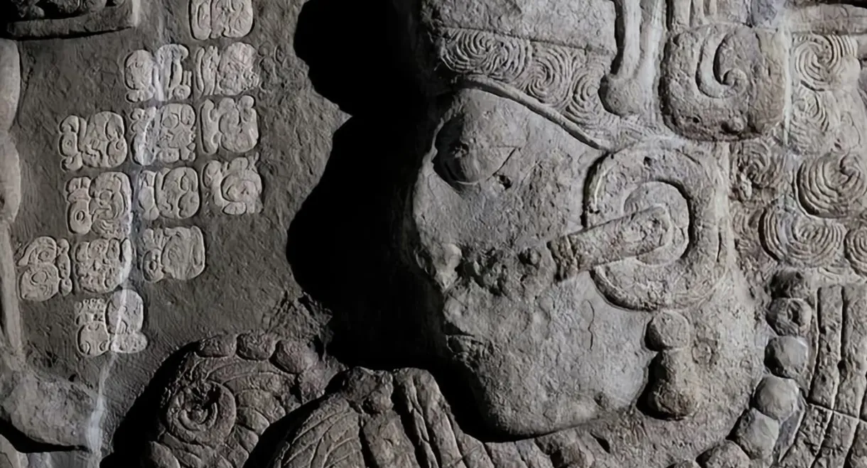 Breaking the Maya Code