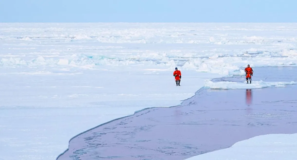 Sailing the North Pole