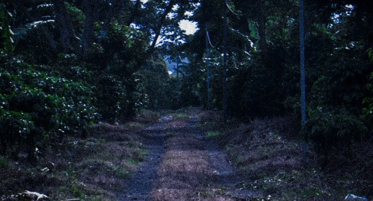 La Trocha