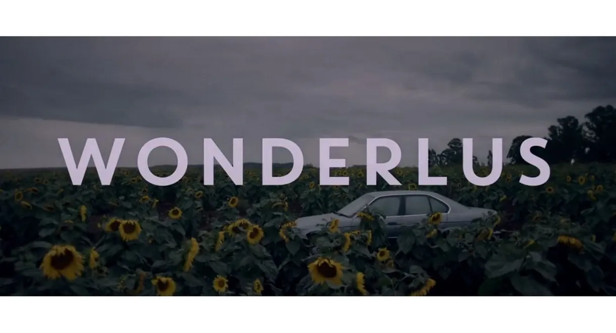 Wonderlus