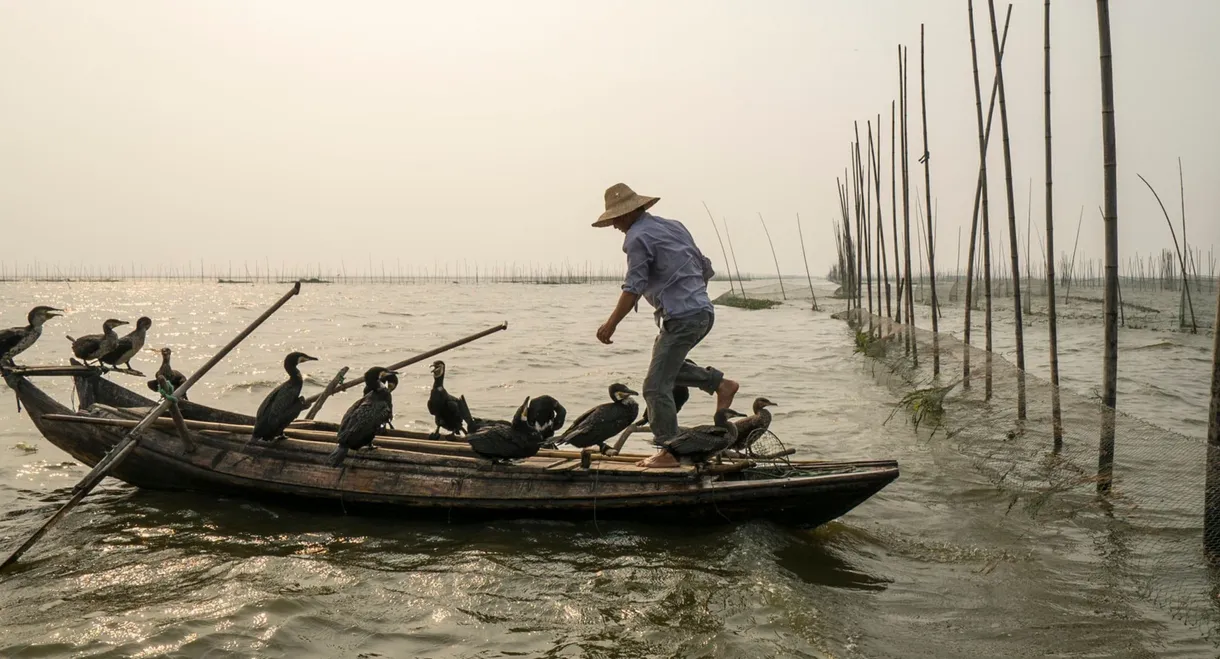 Along the Banks of the Yangtze